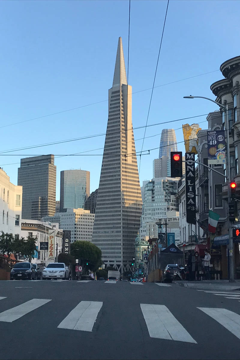 Commercial Property Management